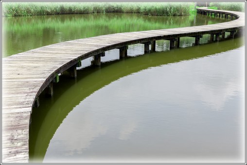 A bridge over water to show the path to conflict resolution.